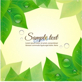 清新绿叶背景矢量图片